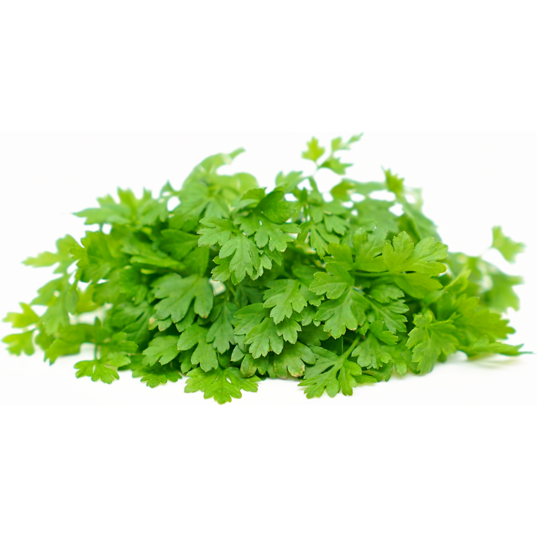 Chervil