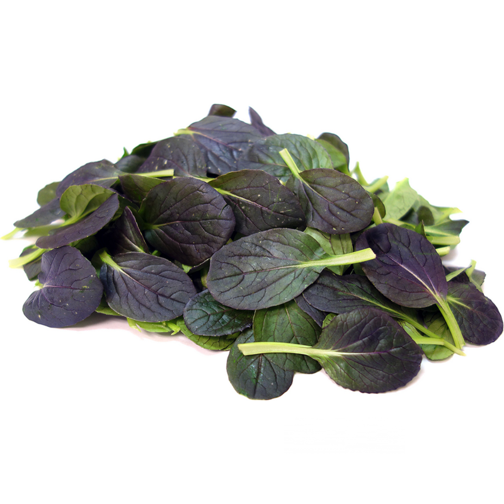 Baby Red Pak Choi (KG)