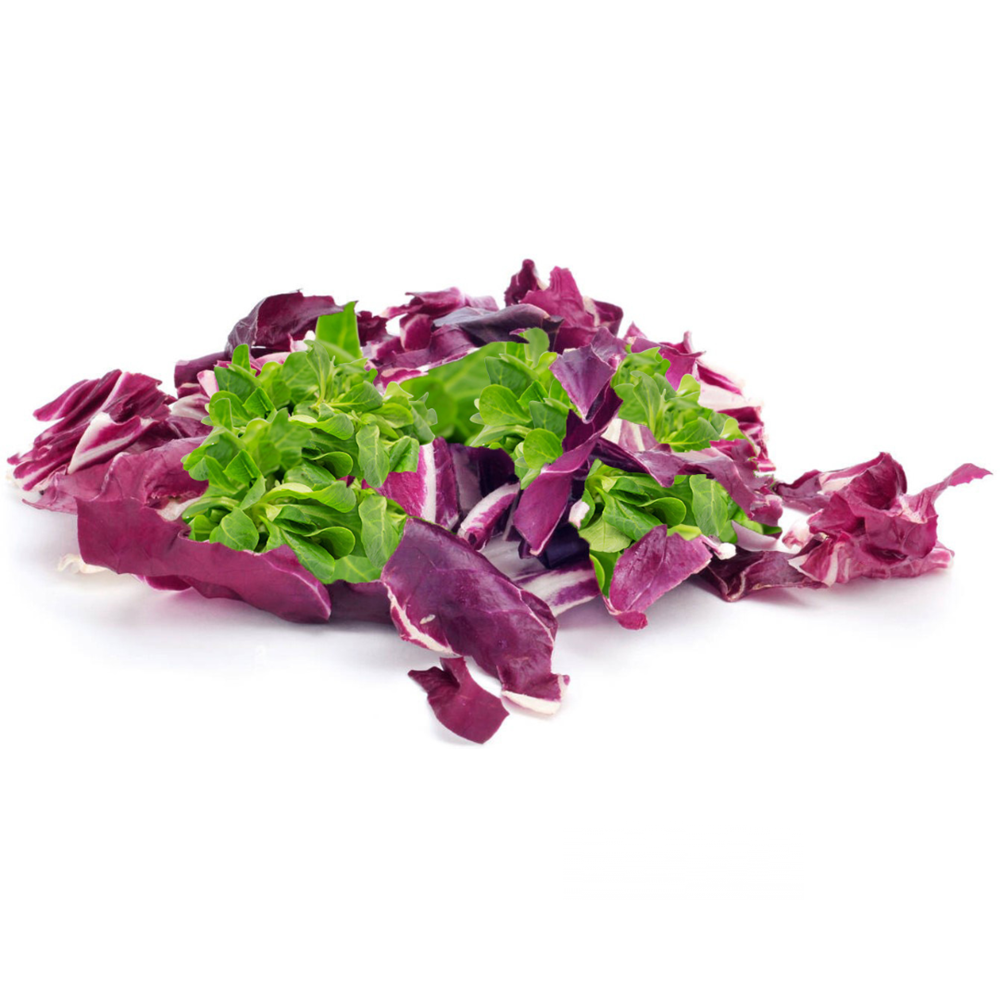 Baby Mache & Radicchio Mix (KG)