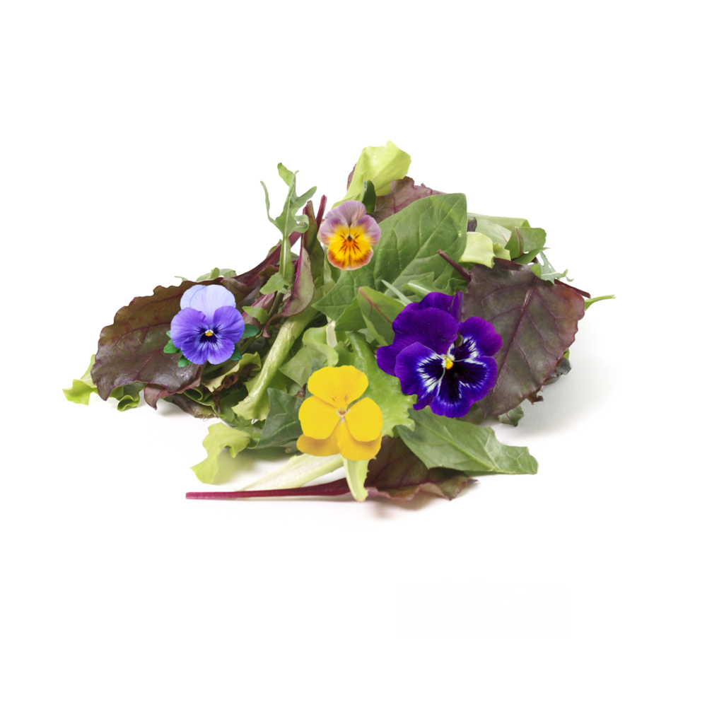 Baby Mesclun & Flower Mix (KG)
