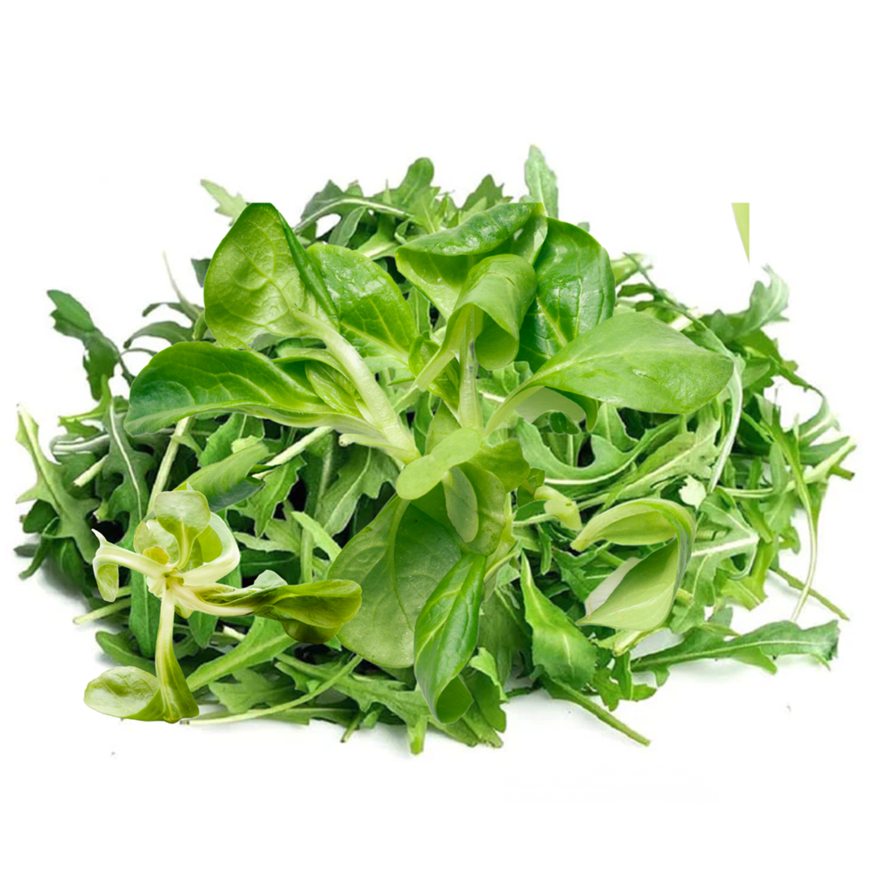 Baby Mache & Rocket Mix (KG)