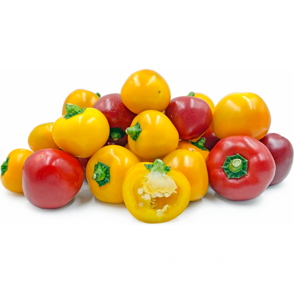 Baby Capsicum Mix Round (KG)