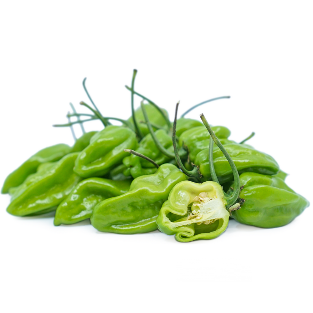 Chili Habanero Green (KG)