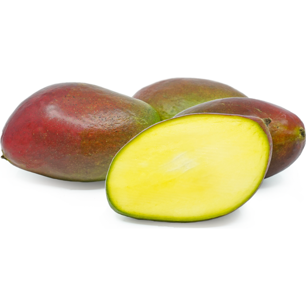 Mango Palmer (KG)