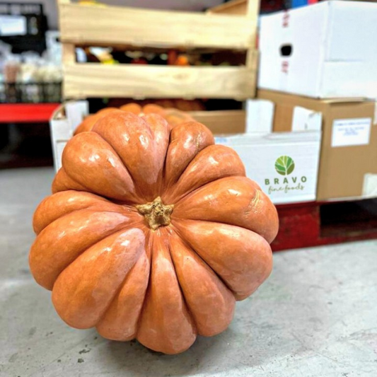 Muscat Pumpkin XL