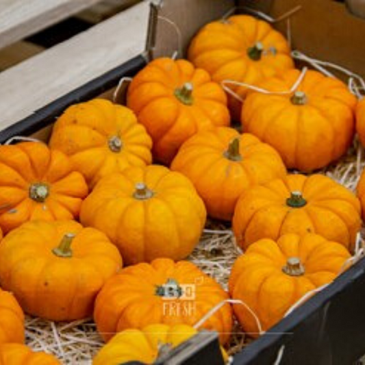 Baby Pumpkins