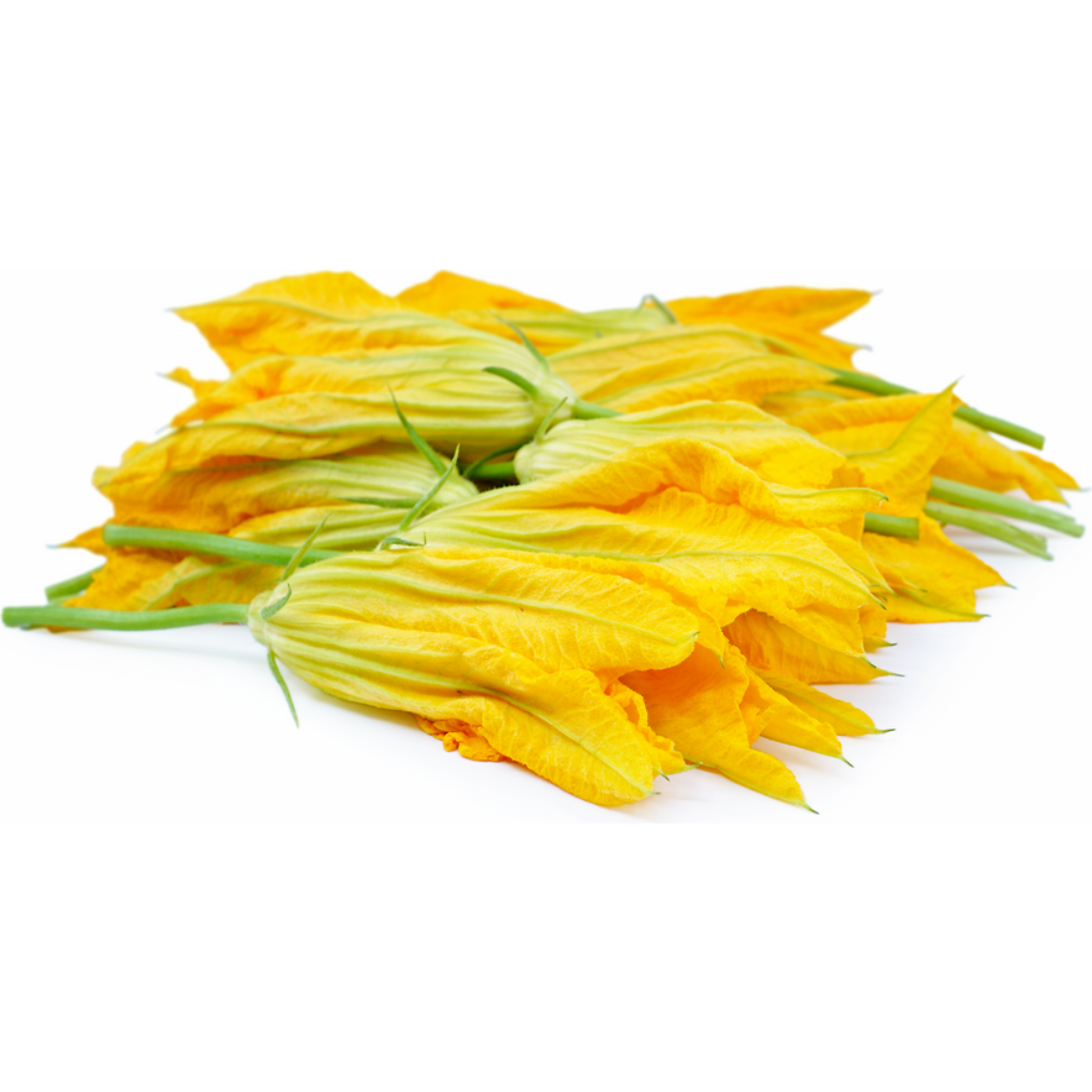 Zucchini Flowers Yellow