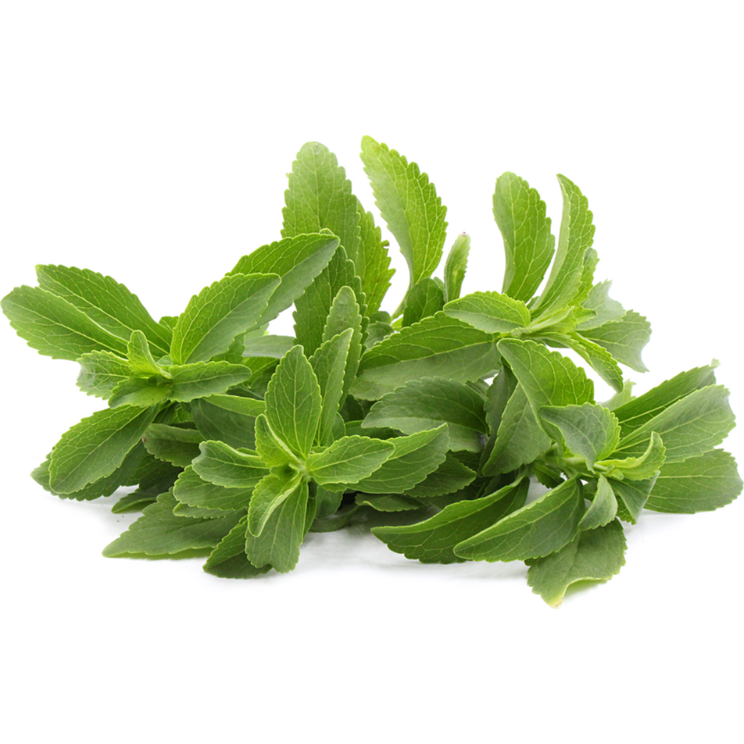 Stevia (KG)