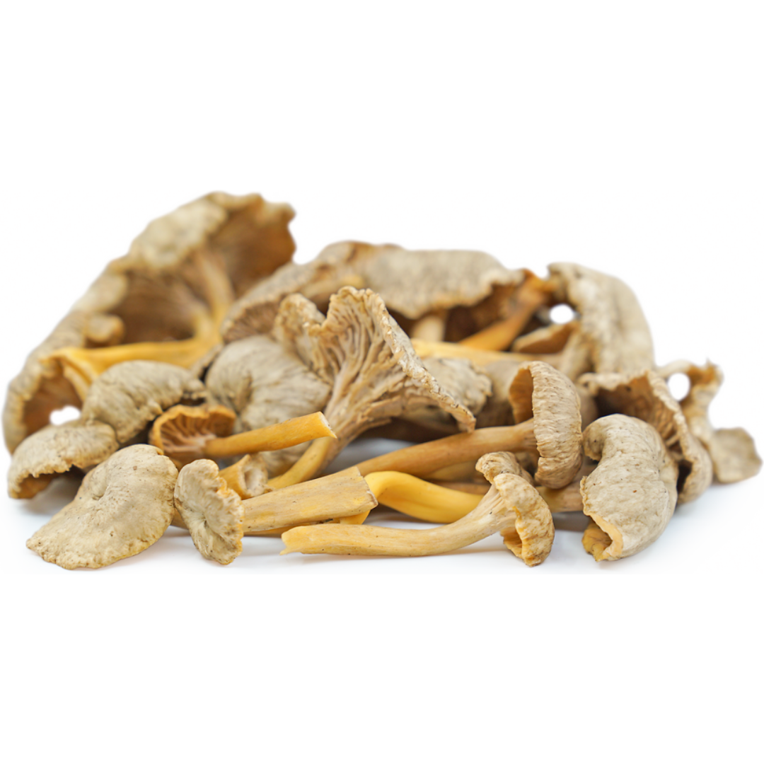 Chanterelle Girolles Gris (KG)