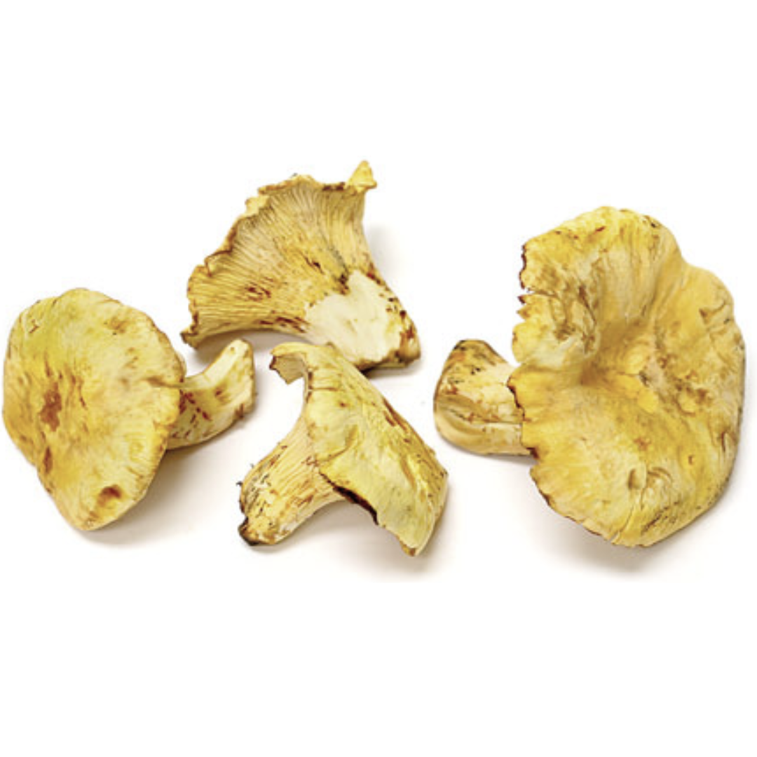 Chanterelle Girolles Mini (KG)