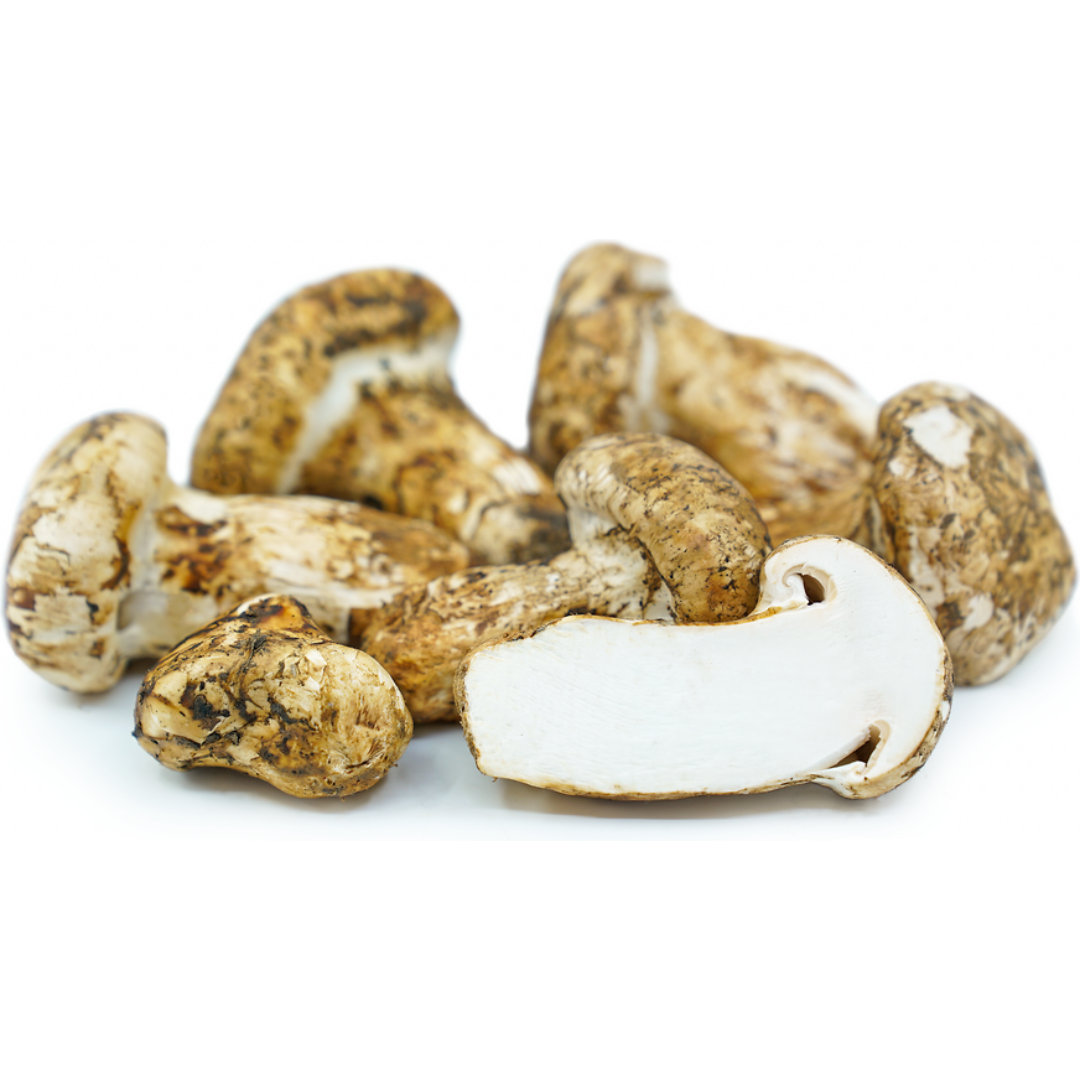 Matsutake (KG)