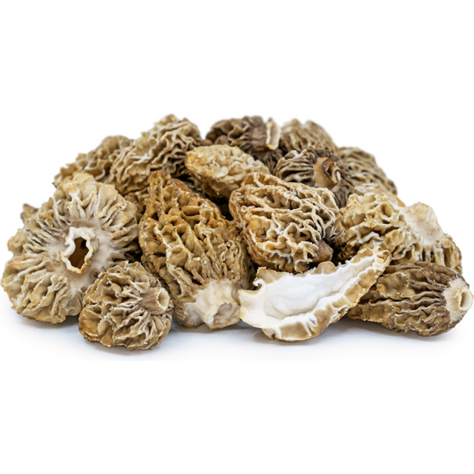 Morels (KG)