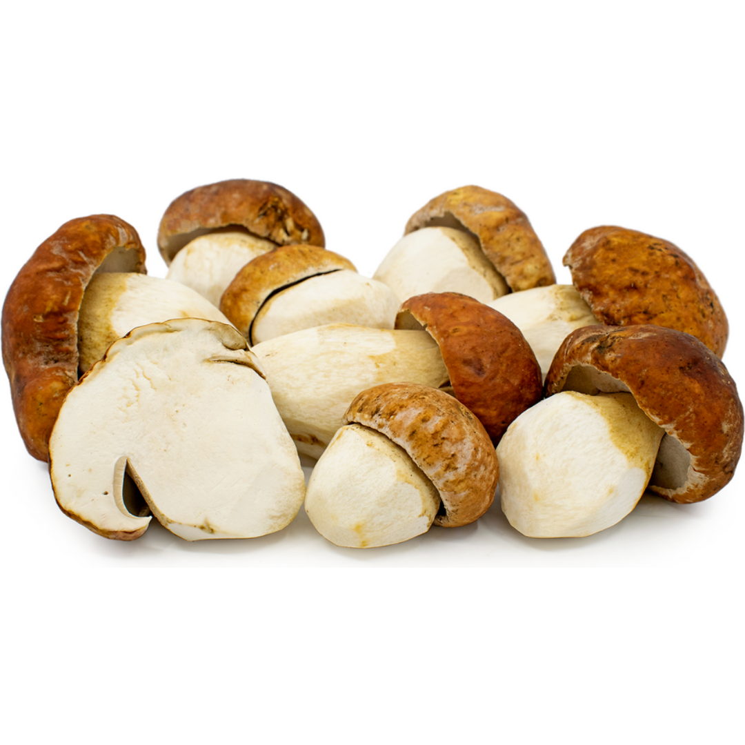 Porcini (KG)