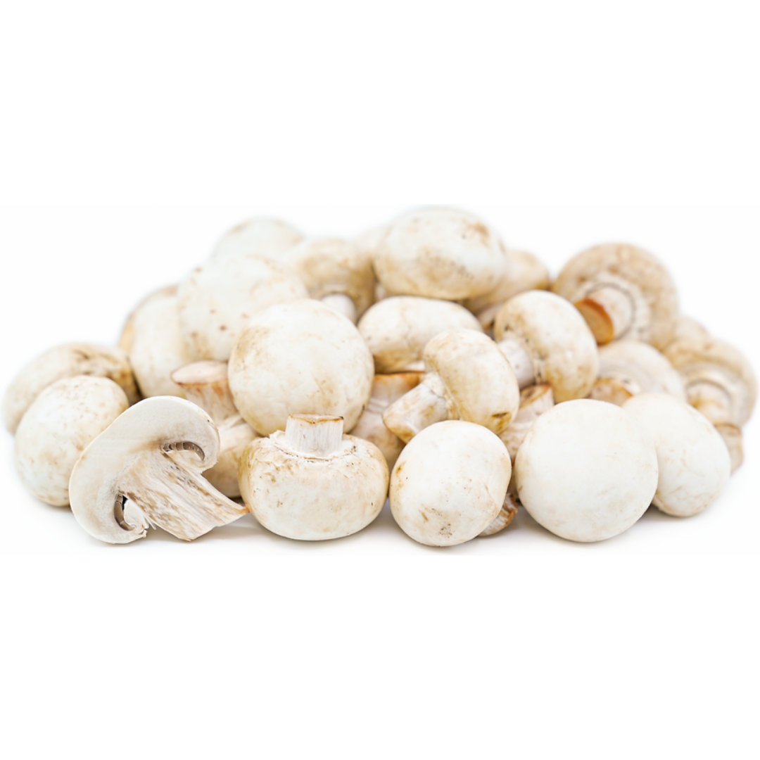 Champignon White (KG)