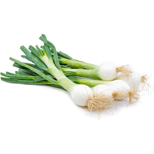 Spring Onion