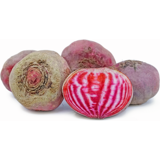 Beetroot Chioggia