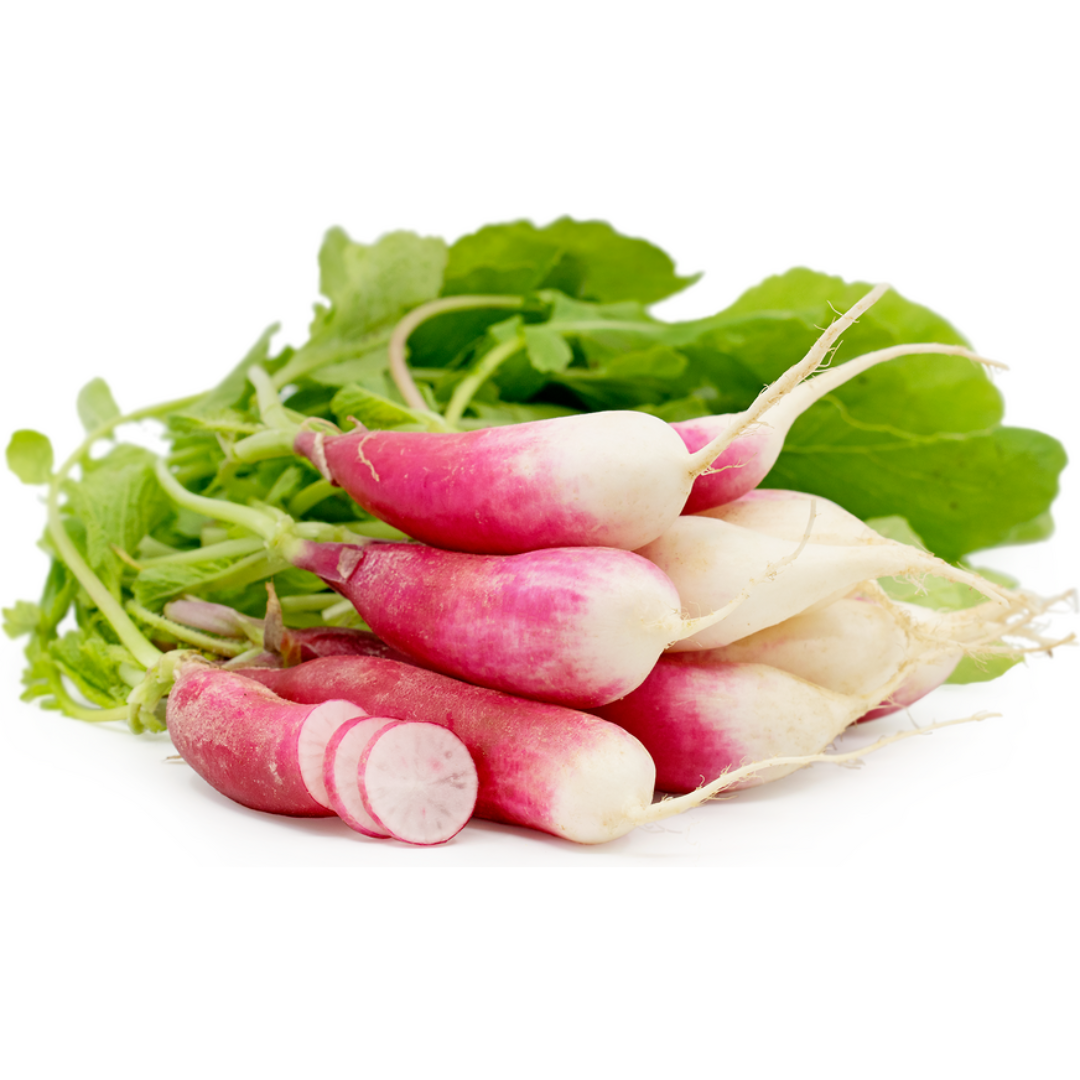 Breakfast Radish French