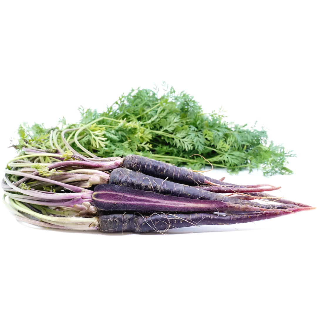 Carrots Purple