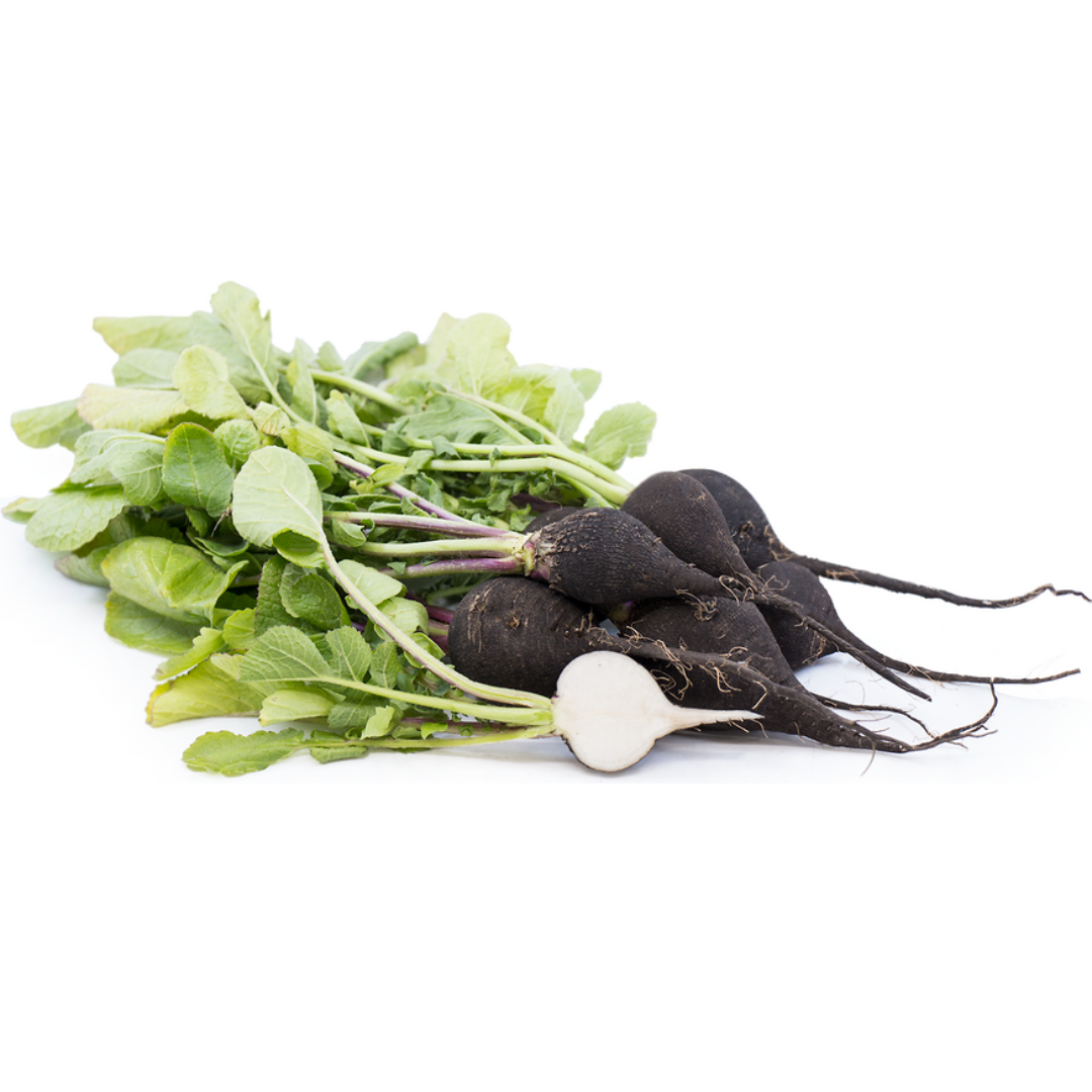 Radish Black (Ramanas)