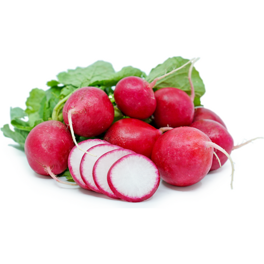 Radish Red Mini