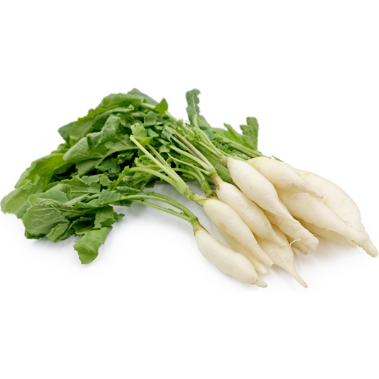 Radish White Mini