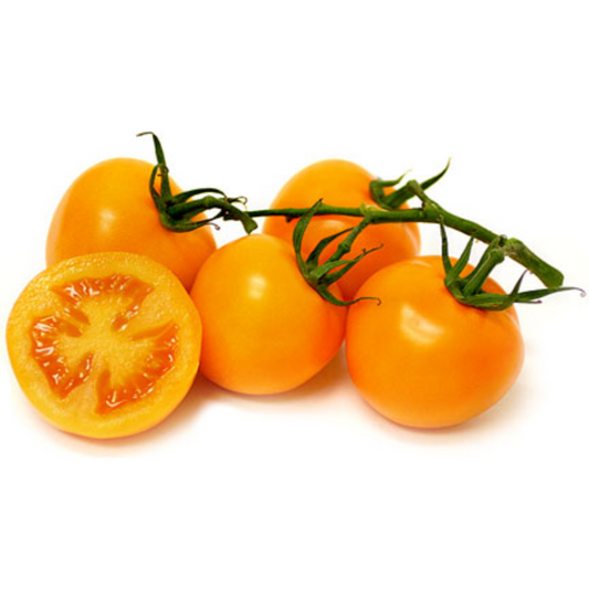 Vine Orange