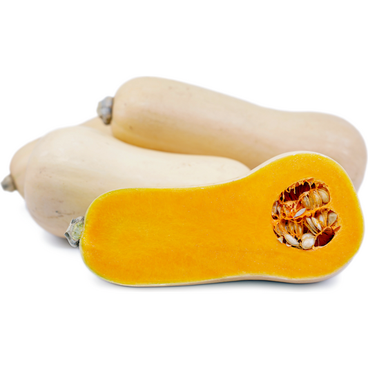 Butternut Squash