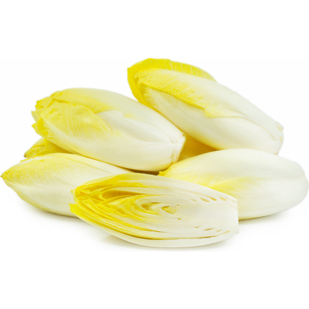 Chicory Endive