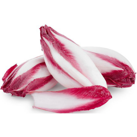 Chicory Red