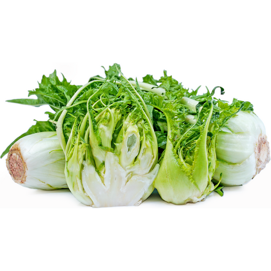 Puntarelle