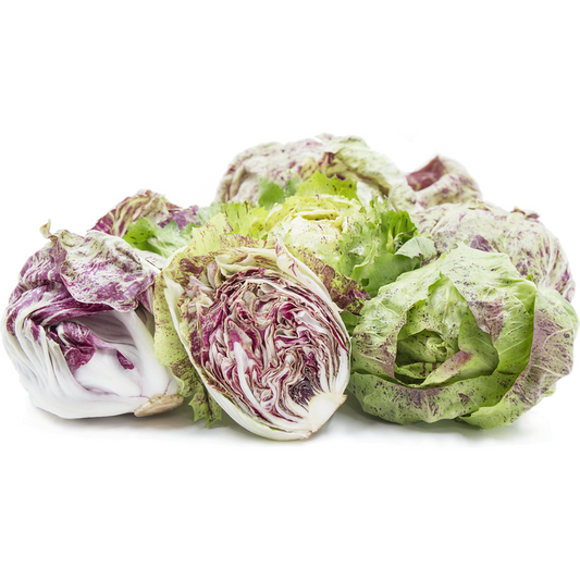 Radicchio Castelfranco