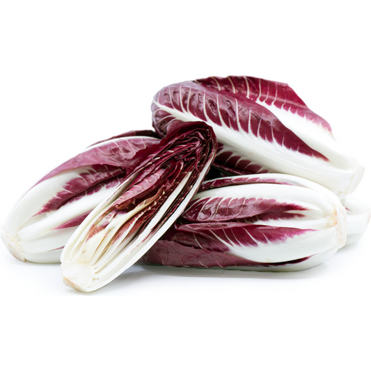 Radicchio di Treviso Precoce