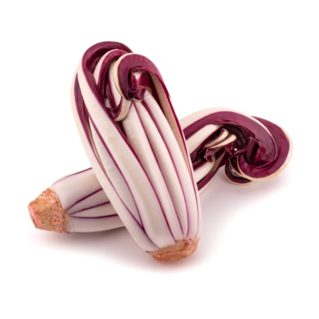 Radicchio di Treviso Tardivo