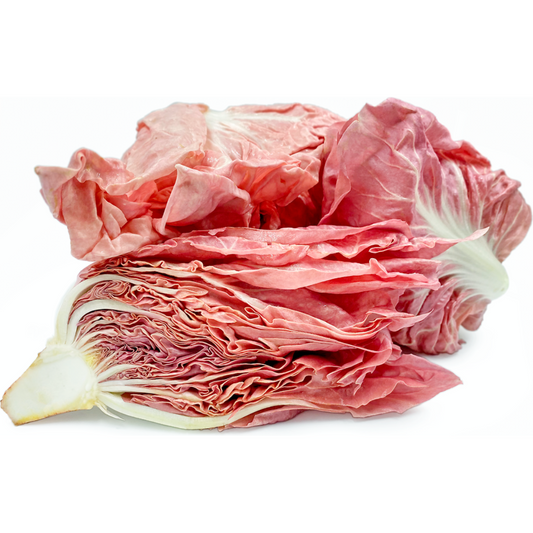 Radicchio Pink