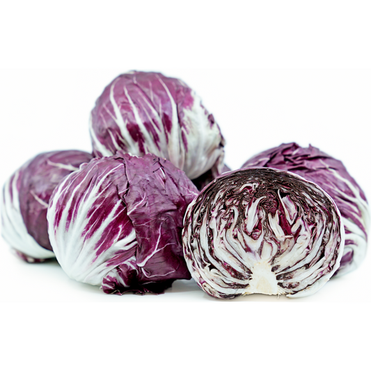 Radicchio Red