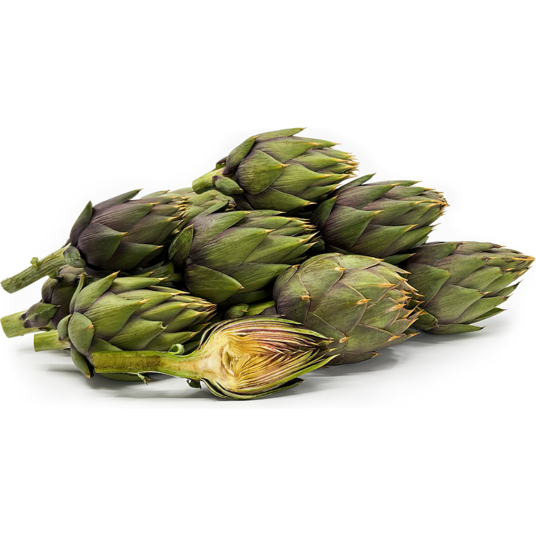 Artichokes Spined