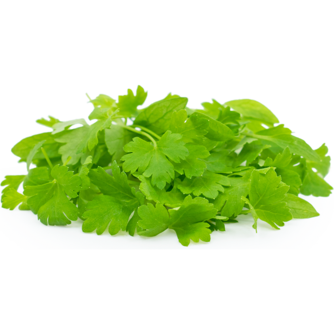 Parsley Italian