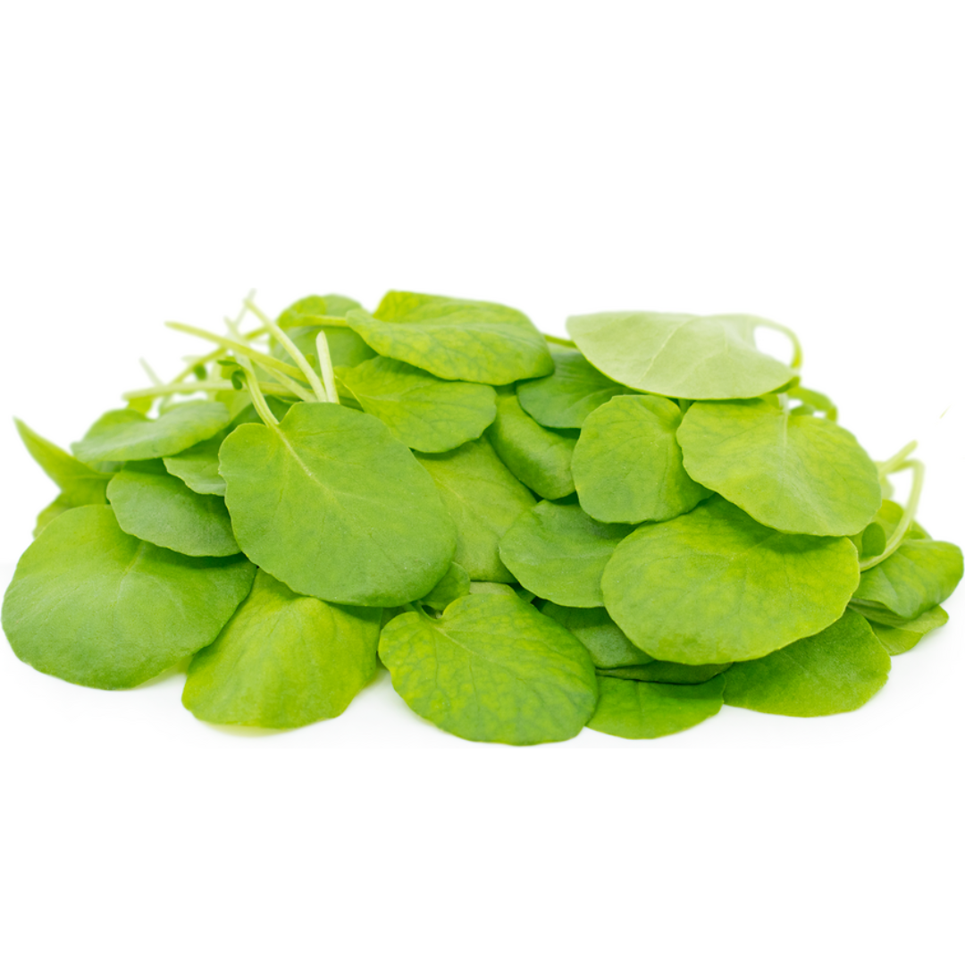 Watercress