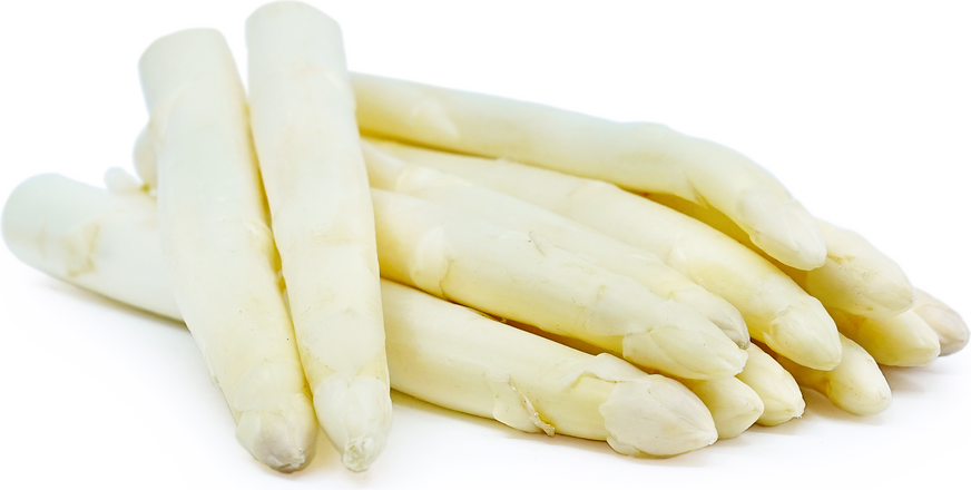 Asparagus White A (German) (KG)