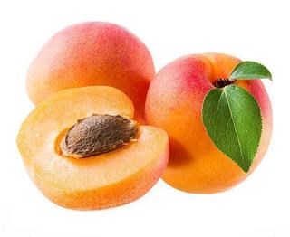 Apricot (KG)