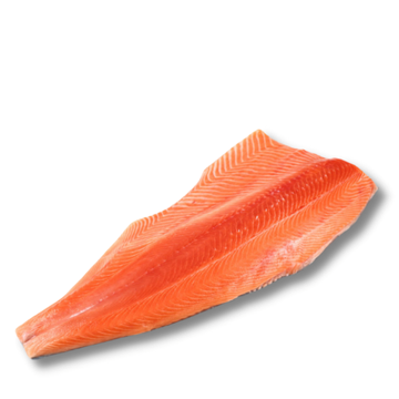 Arctic Char Fillet Frozen - 200/400g (KG)