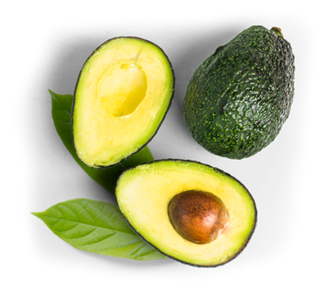 Avocado (PC)