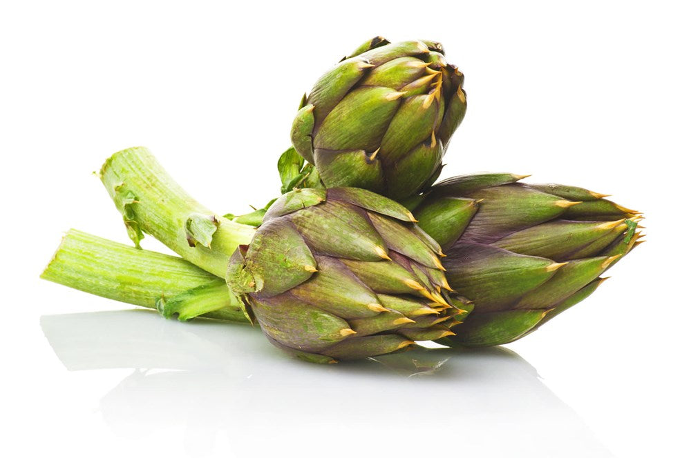 Artichoke with Spines (PC)