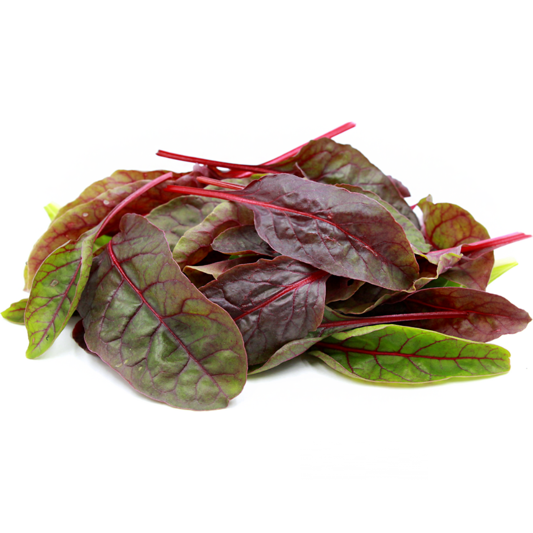 Baby Red Chard (KG)