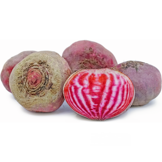 Baby Beetroot Chioggia (KG)