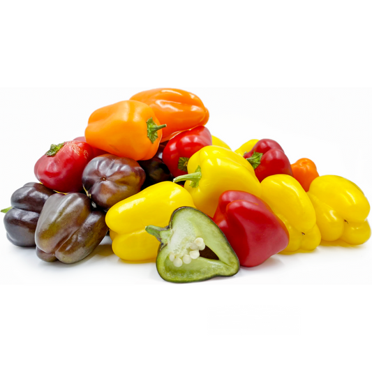 Baby Capsicum Mix (KG)