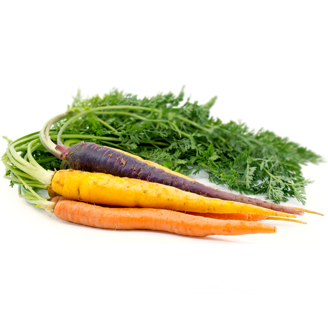 Baby Carrots Rainbow (KG)