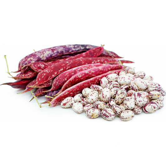 Beans Borlotti (KG)