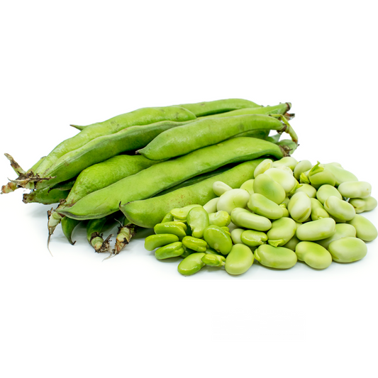 Fava Beans (KG)