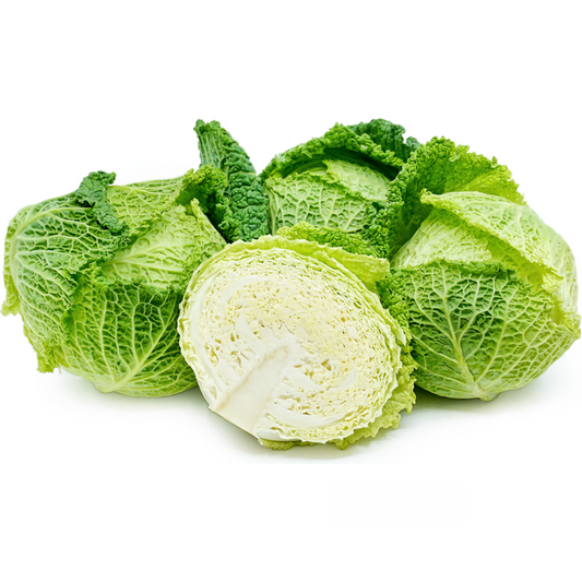 Cabbage Savoy (KG)